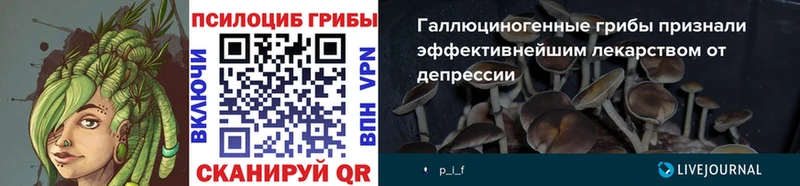 продажа наркотиков  Александровск  Псилоцибиновые грибы Cubensis 